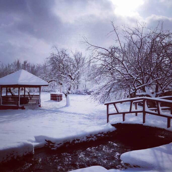 Horace Guesthouse Pool & Hot Tub & Bikes & River Dejani Εξωτερικό φωτογραφία