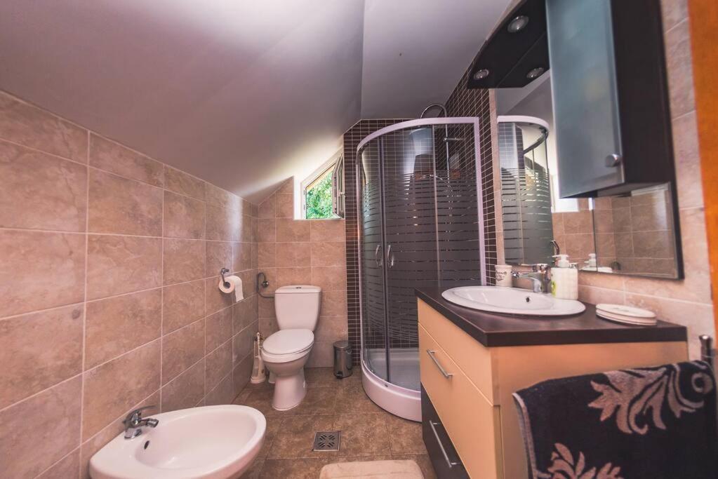 Horace Guesthouse Pool & Hot Tub & Bikes & River Dejani Εξωτερικό φωτογραφία