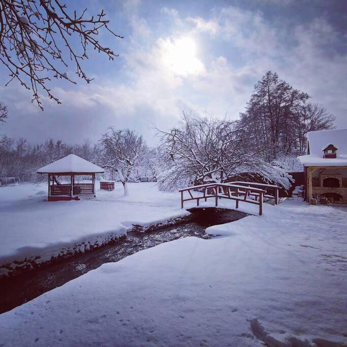 Horace Guesthouse Pool & Hot Tub & Bikes & River Dejani Εξωτερικό φωτογραφία