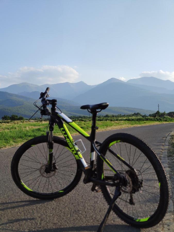 Horace Guesthouse Pool & Hot Tub & Bikes & River Dejani Εξωτερικό φωτογραφία