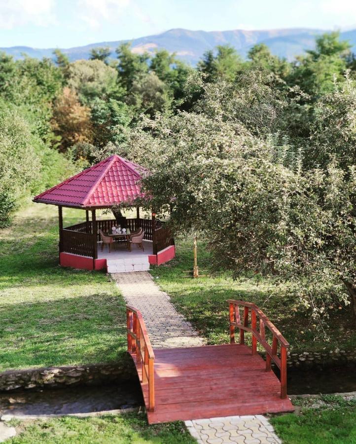 Horace Guesthouse Pool & Hot Tub & Bikes & River Dejani Εξωτερικό φωτογραφία