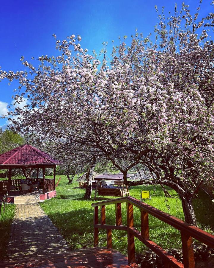 Horace Guesthouse Pool & Hot Tub & Bikes & River Dejani Εξωτερικό φωτογραφία