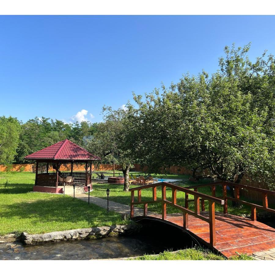 Horace Guesthouse Pool & Hot Tub & Bikes & River Dejani Εξωτερικό φωτογραφία
